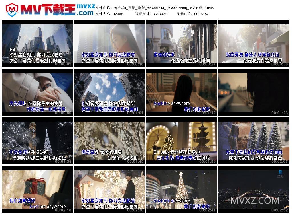 善宇-如_国语_流行_YEC00214